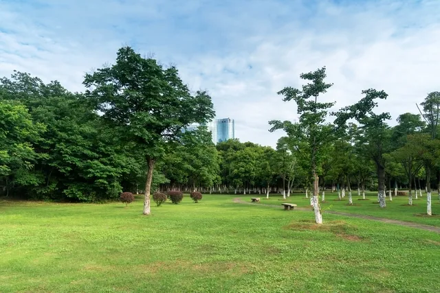 Toki̇, 30 İlde 312 Taşınmazı Açık Artırma Ile Satışa Çıkartacak (12)