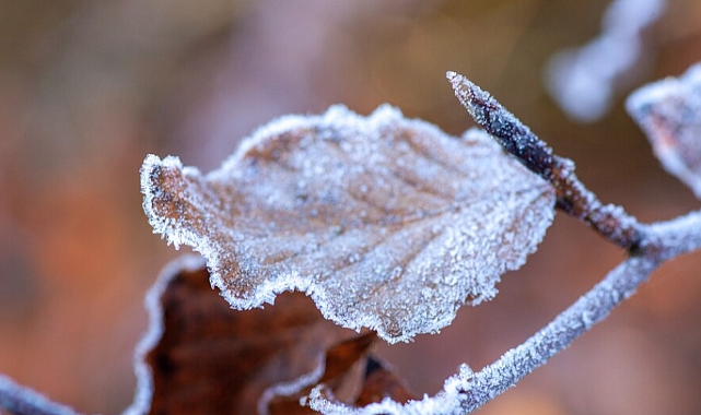 Türkiye’de Kaydedilen En Yüksek Ve En Düşük Sıcaklıklar Nedir