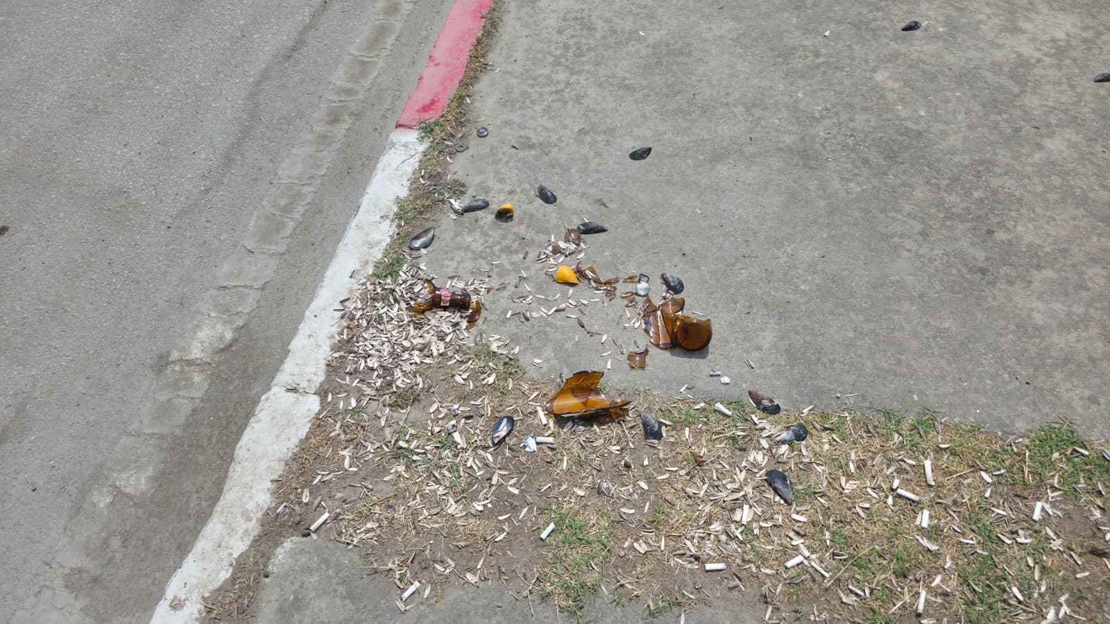 Whatsapp Image 2025 08 18 At 13.55.57