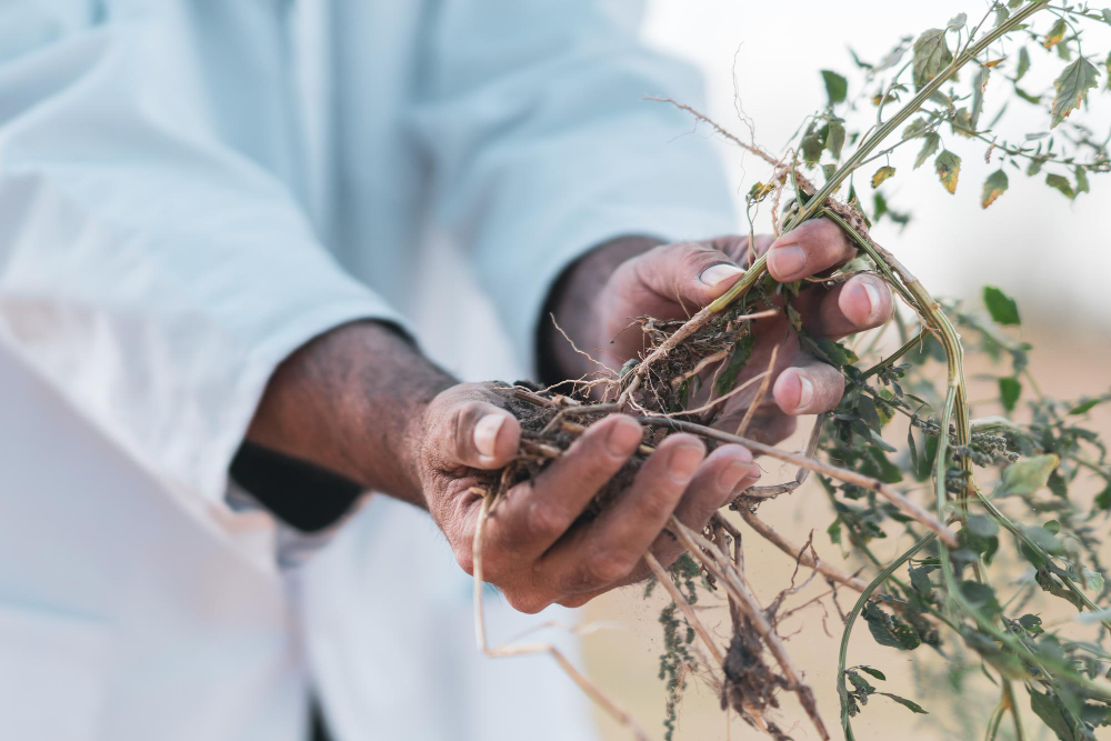 Zenginlik Duası Bereket Ve Refaha Ulaşmak İçingencgazete (9)