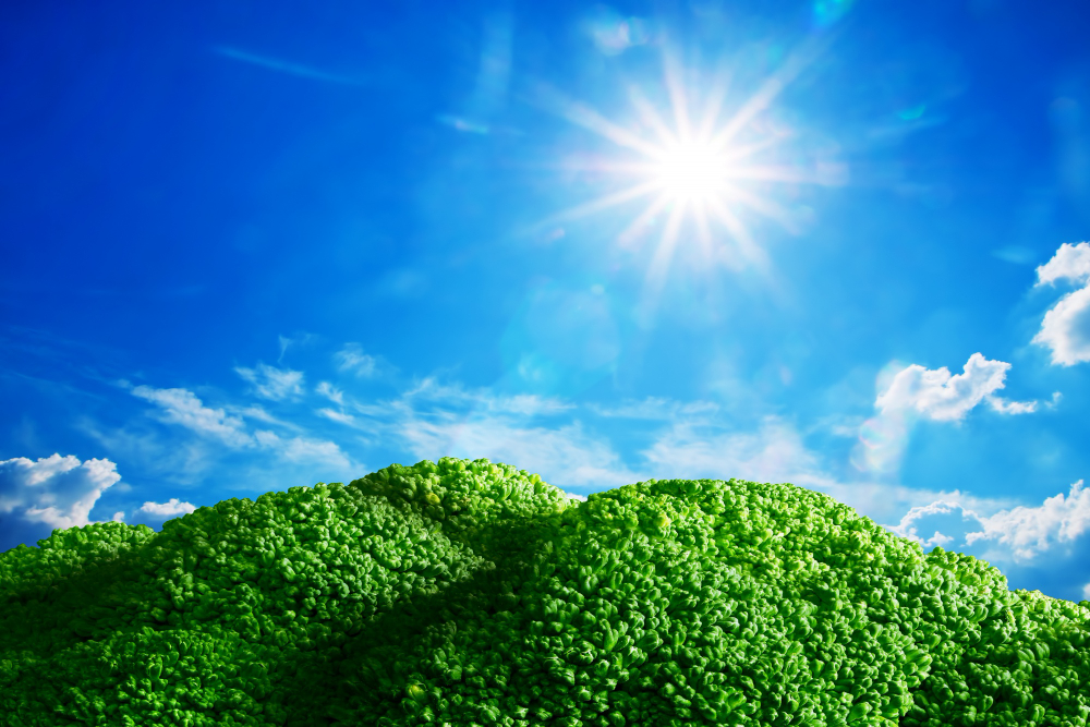 02 Eylül Ne Günü Temiz Hava Gencgazete (1)