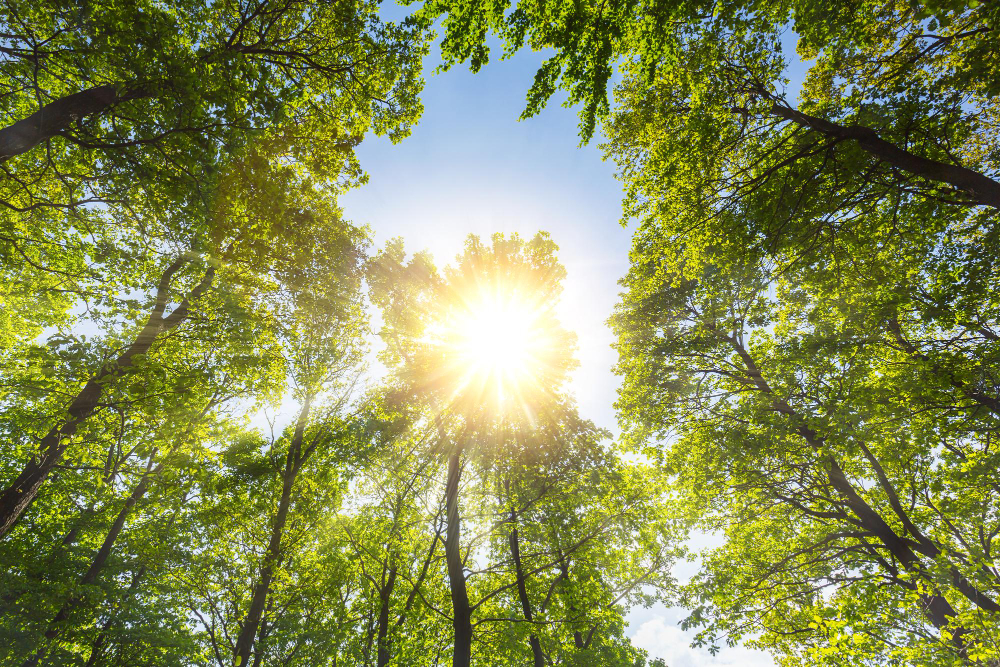 02 Eylül Ne Günü Temiz Hava Gencgazete (2)