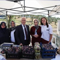 36083 M T Y4 Y2 Vi Mj 1