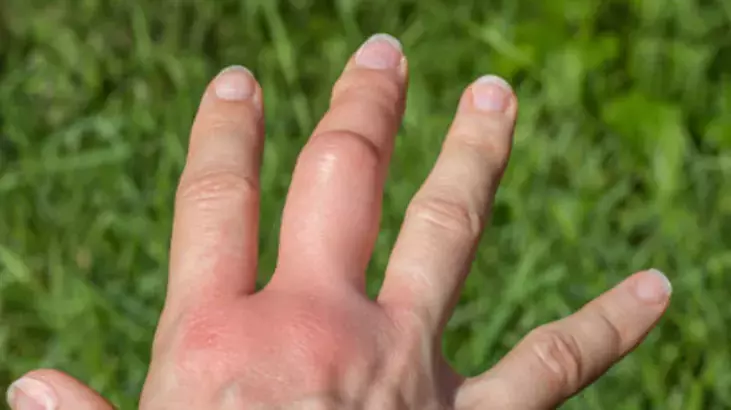 6675747B941A6Cbb9F488E41