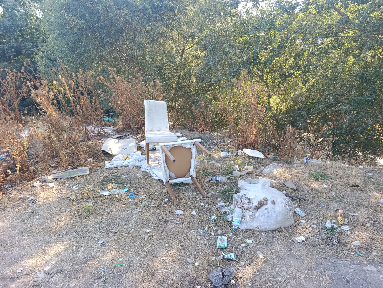 A735Bd84 9F4C 4E06 8C1E Ba4C6Efa4A7F