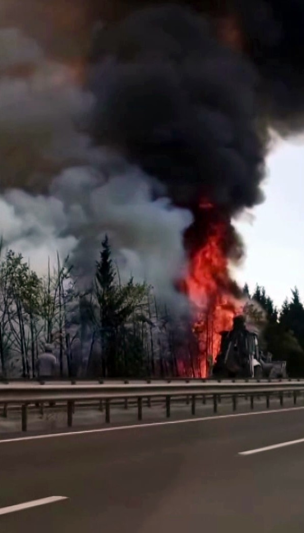 Ağaçlar Alev Topuna Döndü, Trafik Durduruldu (1)
