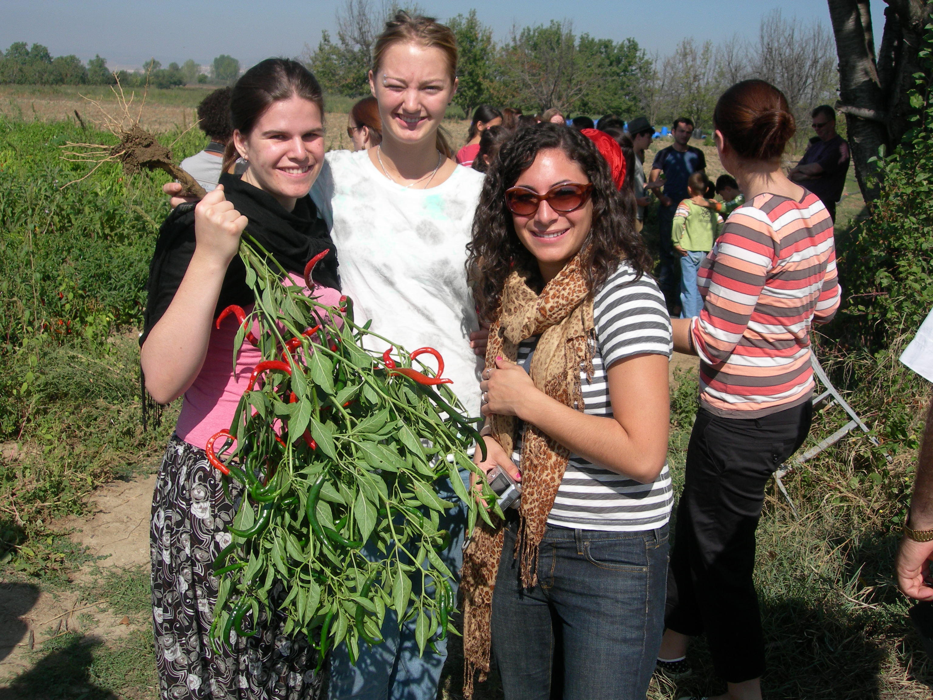 Amerikalı Hıristiyan Öğrenciler İnegöl'de Arsivden Haber 2007 Gencgazete (5)