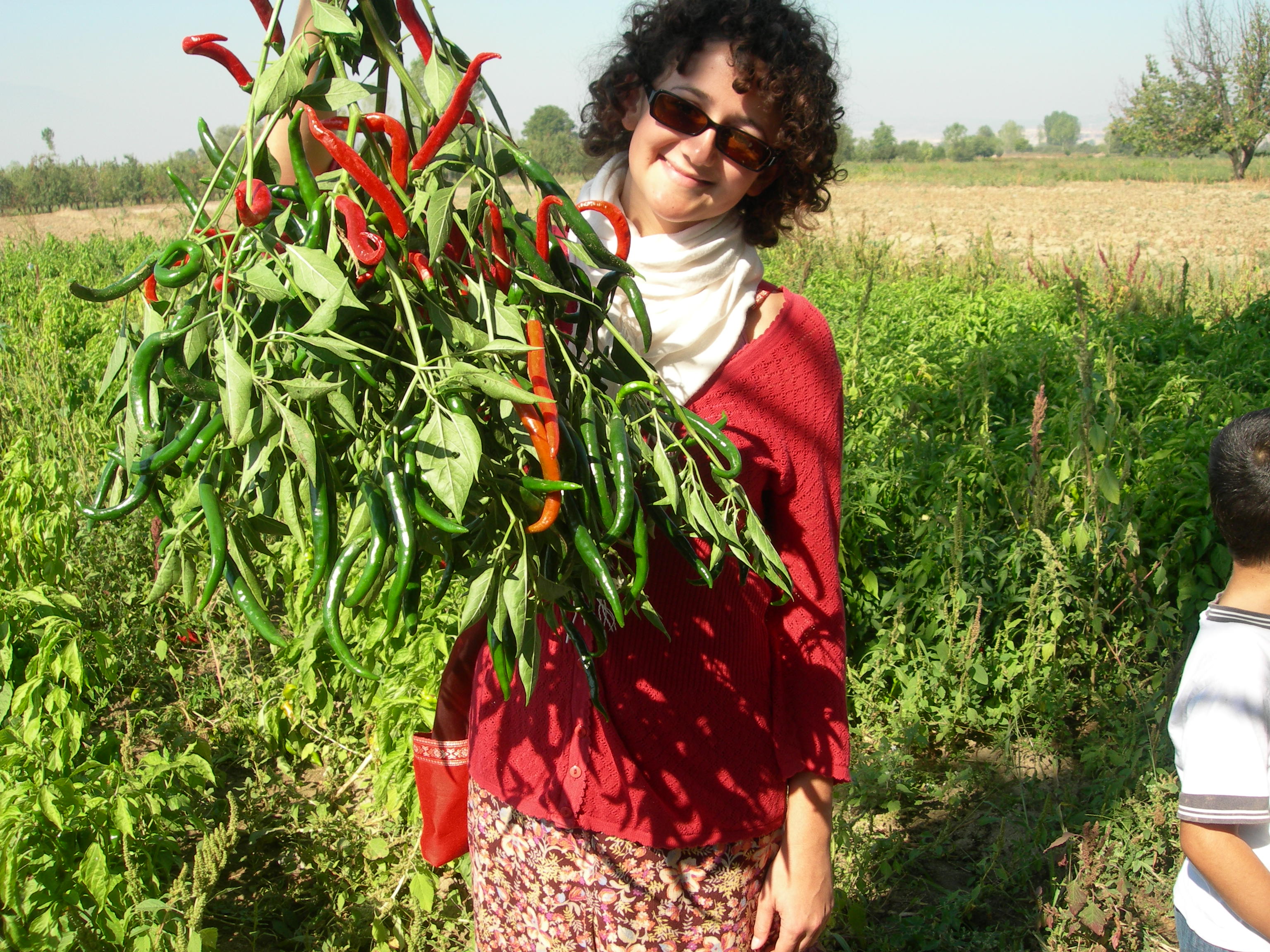 Amerikalı Hıristiyan Öğrenciler İnegöl'de Arsivden Haber 2007 Gencgazete (9)