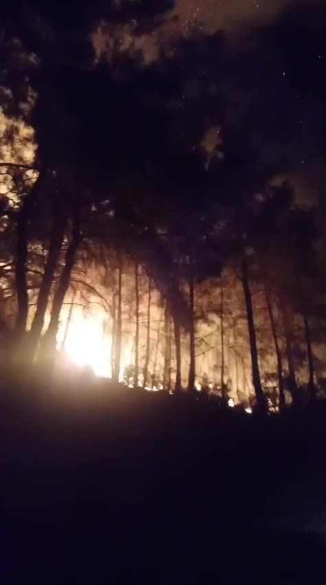 Antalya Gazipaşa’da Orman Yangınına Ekipler Müdahale Ediyor (1)