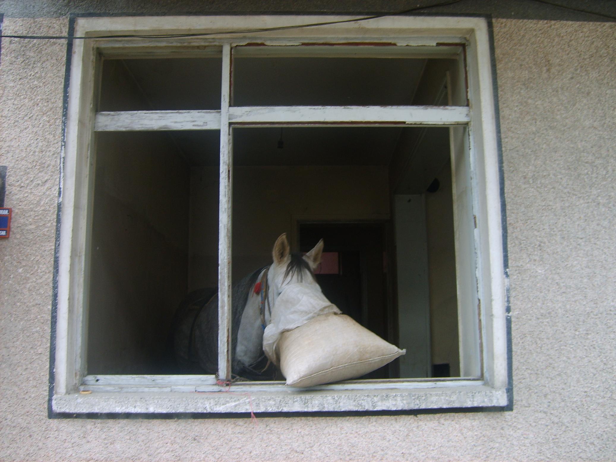 Atlara Süper Daire [2] Arsivden Haber 2007 Gencgazete (3)