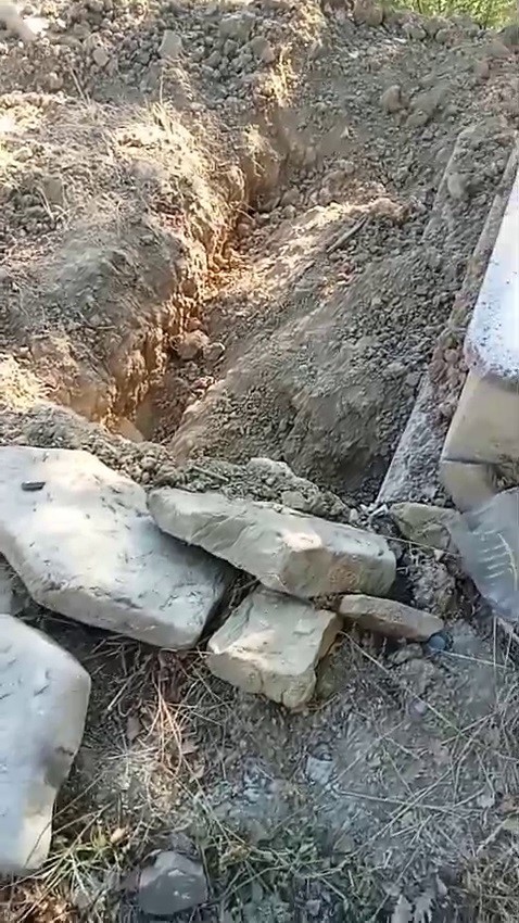 Ayı Mezarlığa Daldı Gencgazete (2)