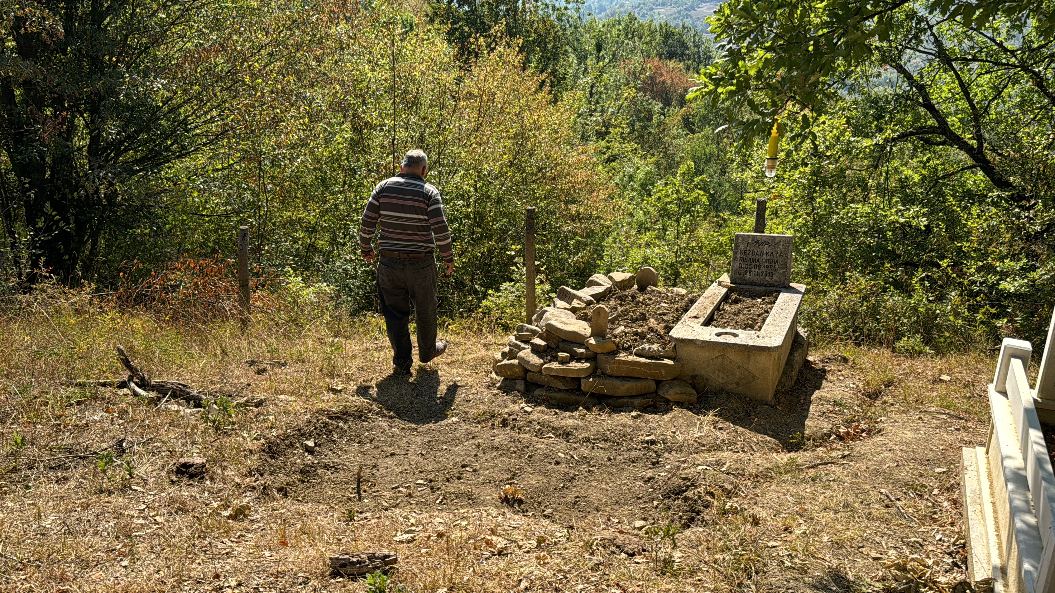 Ayı Mezarlığa Daldı Gencgazete (4)