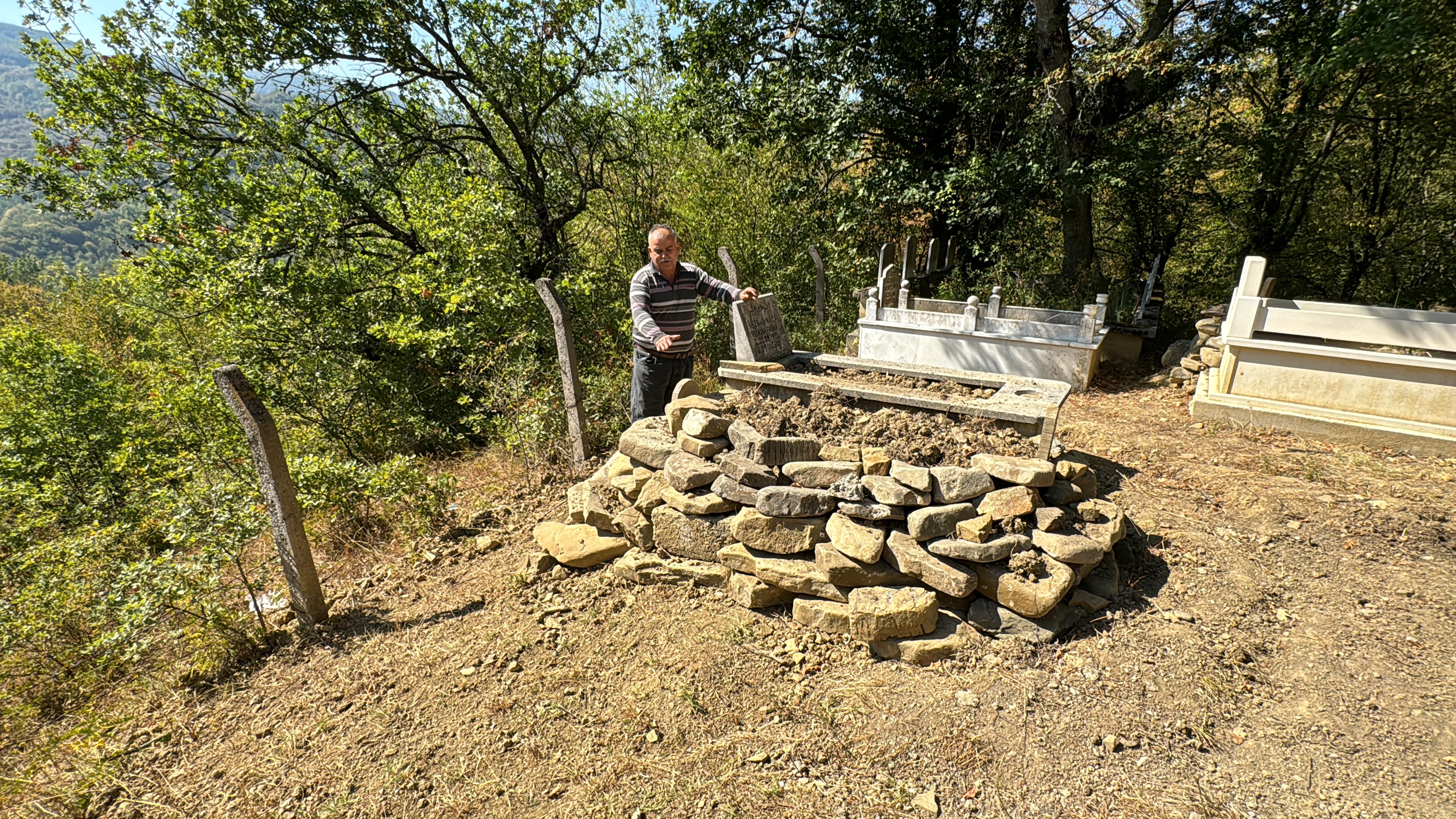 Ayı Mezarlığa Daldı Gencgazete (5)