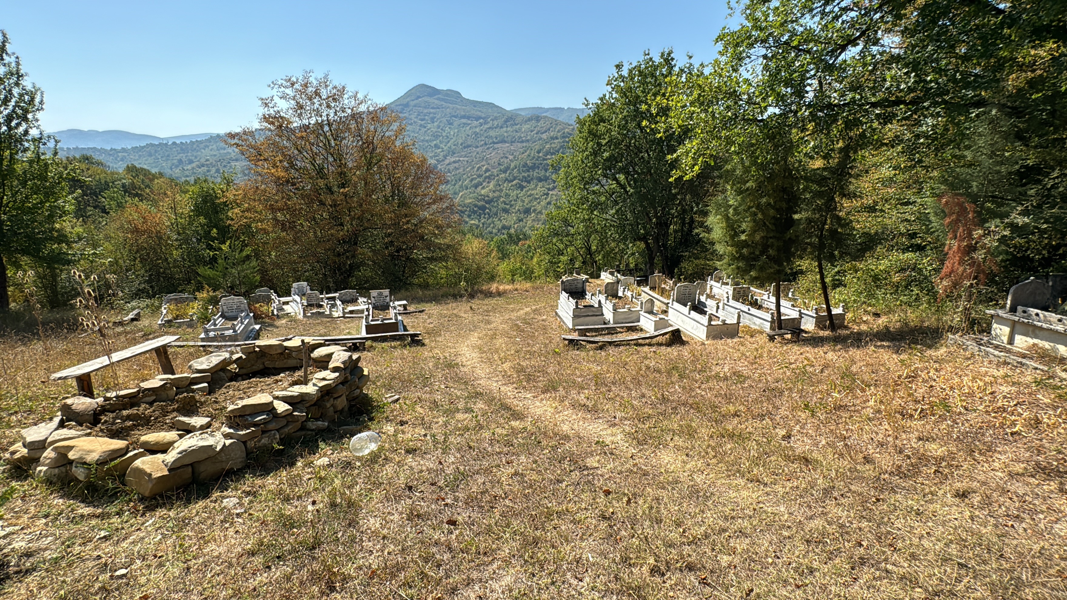 Ayı Mezarlığa Daldı Gencgazete (6)