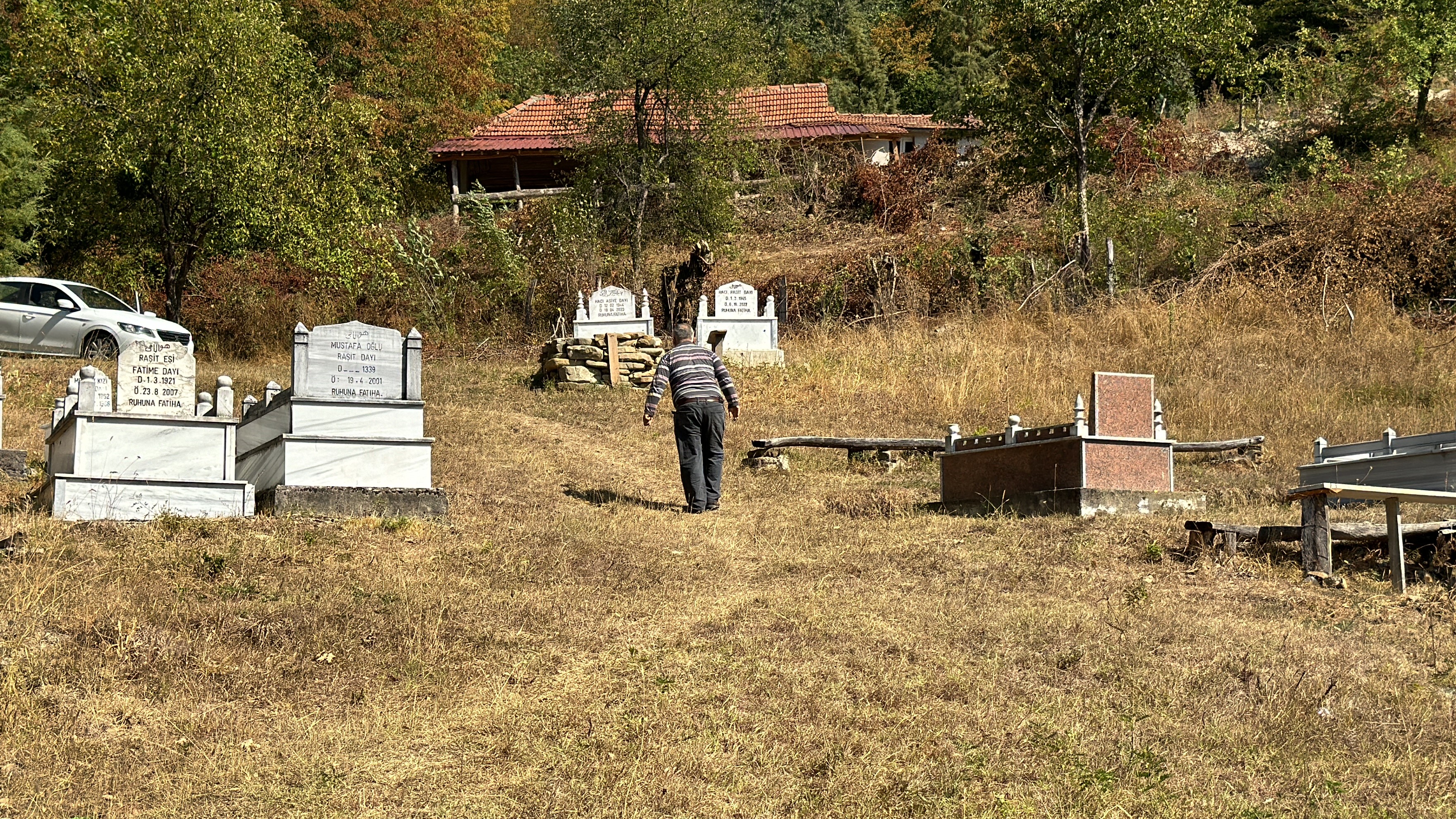 Ayı Mezarlığa Daldı Gencgazete (7)