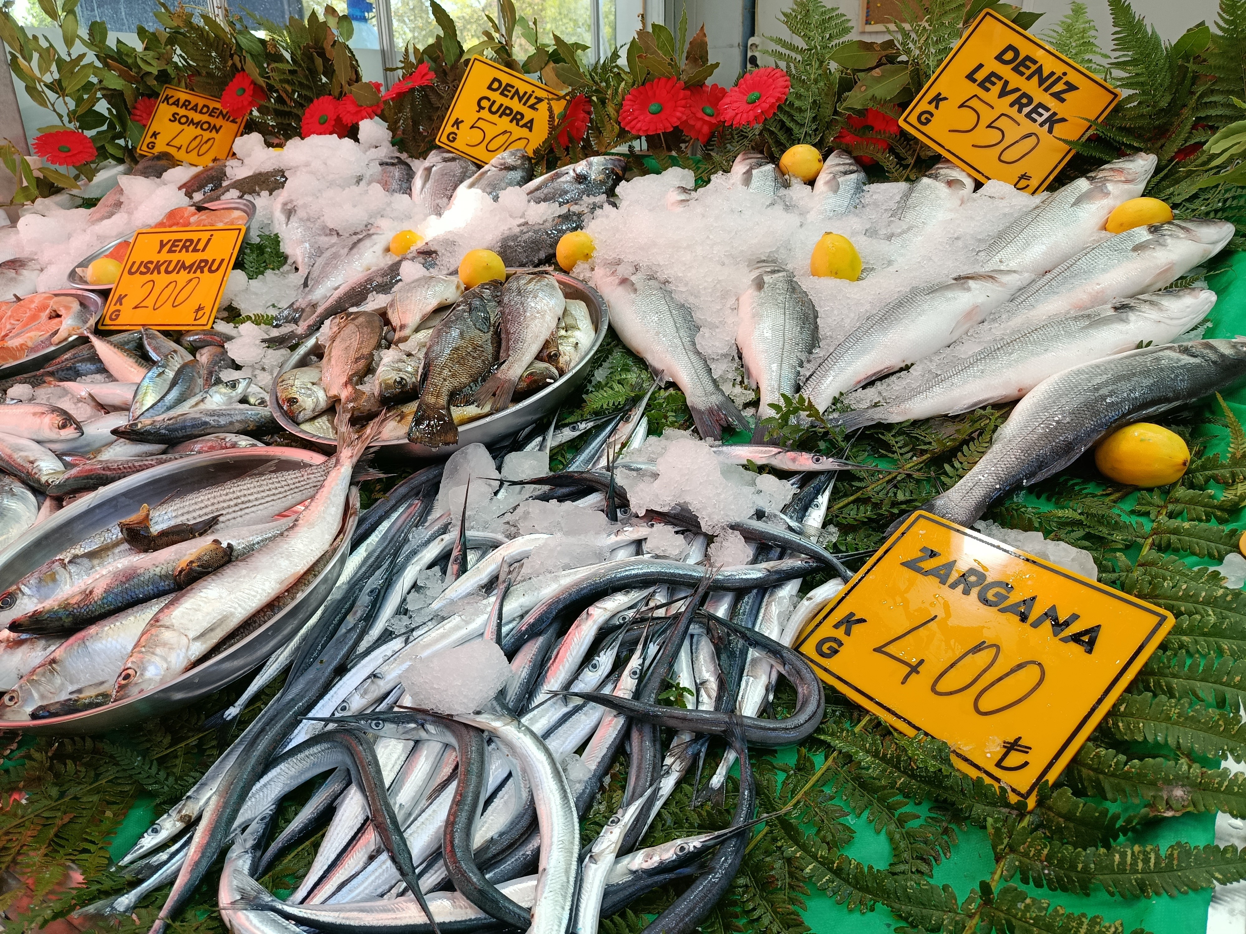 Balıkçılar Palamut Gencgazete (2)