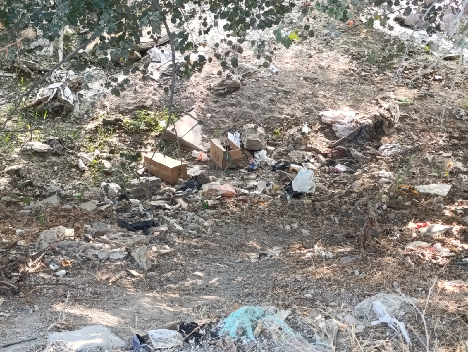 Bc00C9Bb 02Cb 46D6 9E5D 1B65B7D0Cd8E