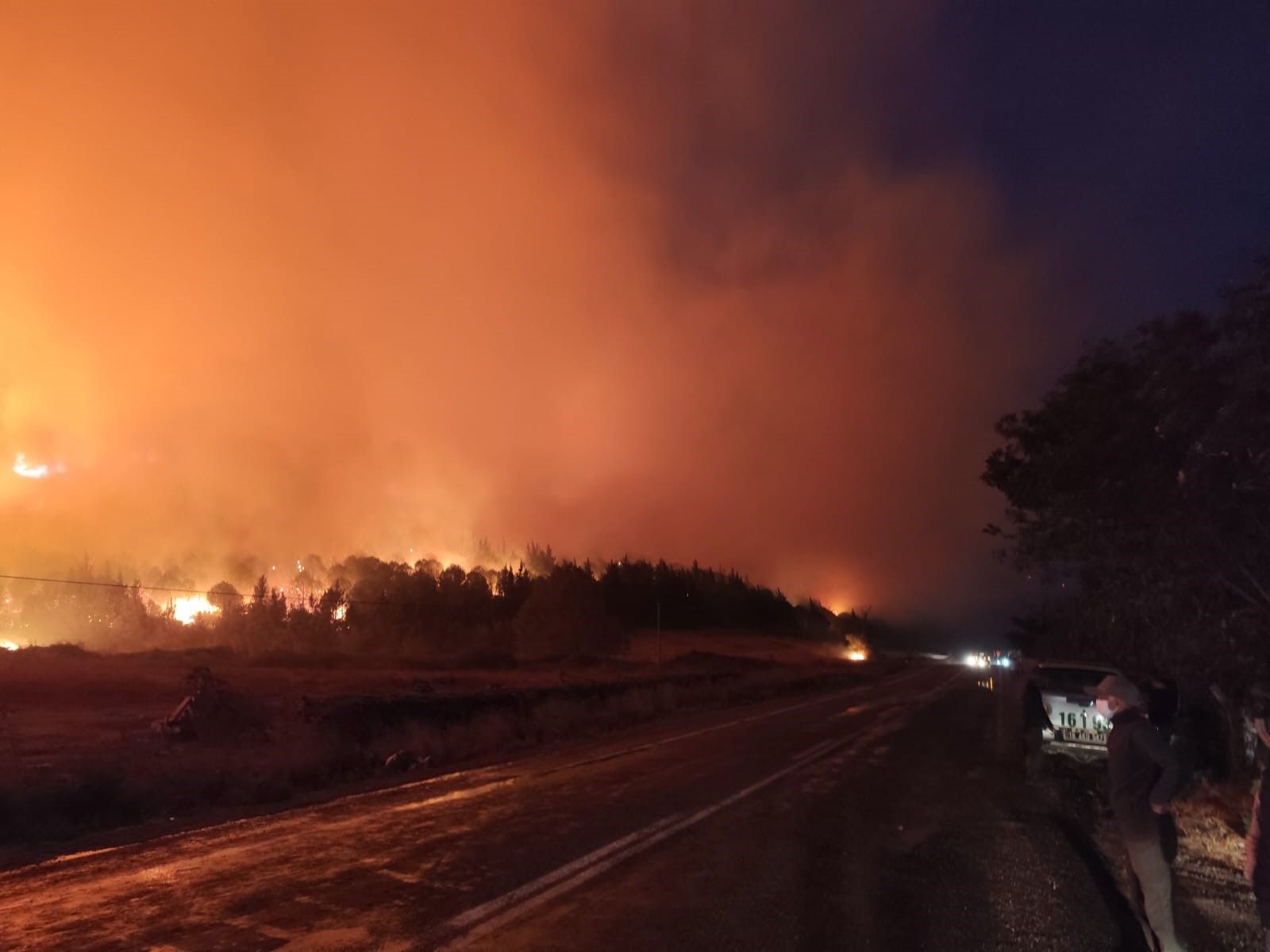 Bursa Alev Alev Yanıyor (2)