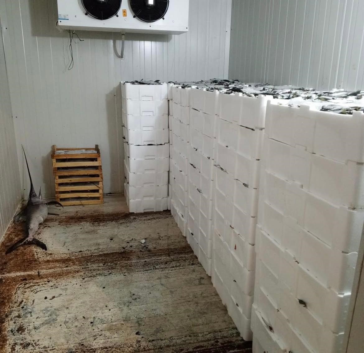 Bursa Balık Hali’nde (1)