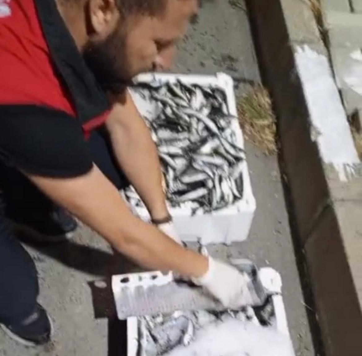 Bursa Balık Hali’nde (4)