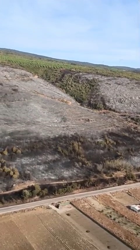 Bursa Karacabey’de Orman Küle Döndü Gençgazete (1)-2