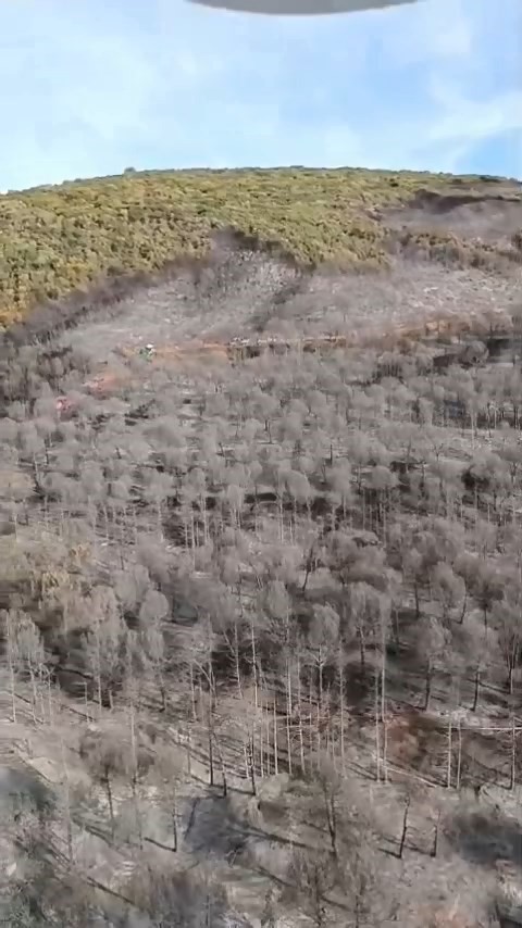 Bursa Karacabey’de Orman Küle Döndü Gençgazete (3)