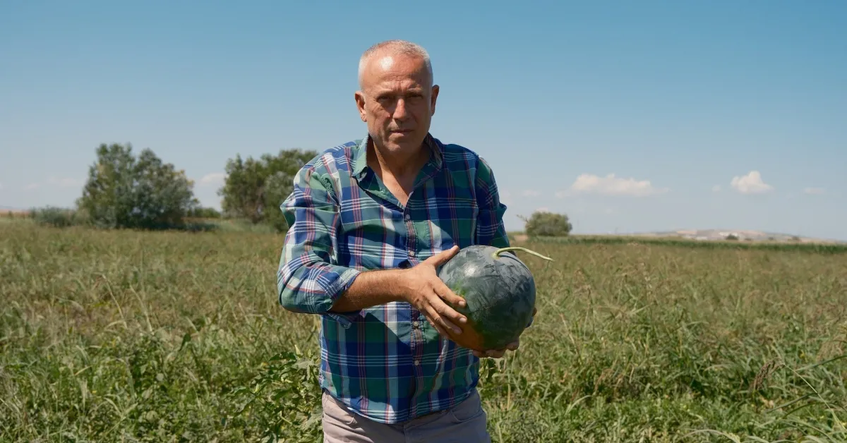 Bursa’da Çiftçi 3 Bin 500 Ton Karpuzla Mağdur Oldu! Firma Sözleşmeye Uymadı (3)