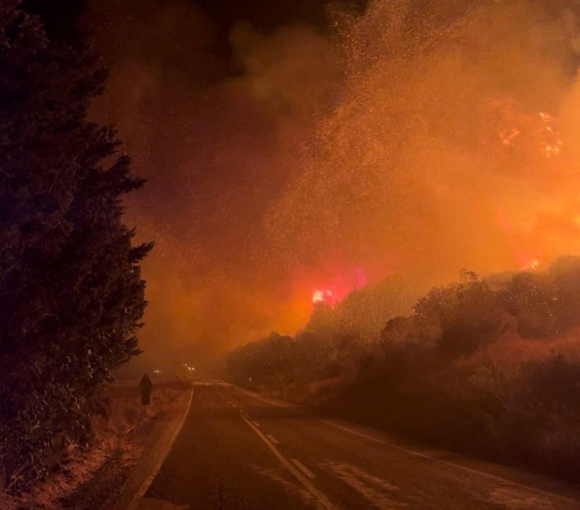 Bursa'da Orman Yangınında Köyler Tahliye Edildi (1)