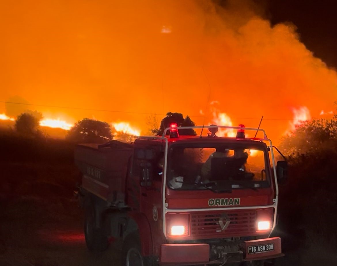 Bursa'da Orman Yangınında Köyler Tahliye Edildi (4)
