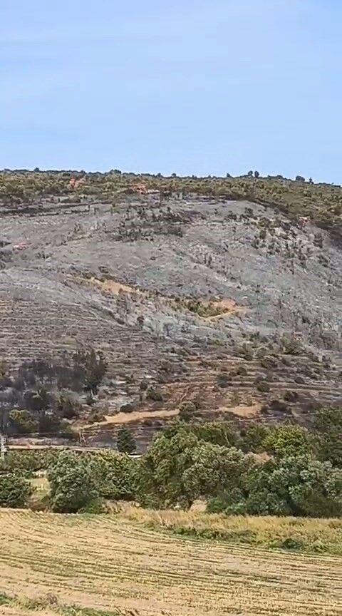Bursa'daki Orman Yangınında Son Durum Ne (1)-2