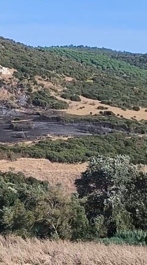 Bursa'daki Orman Yangınında Son Durum Ne (2)-2