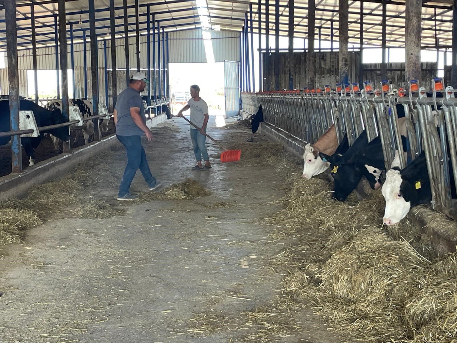 Bursa’daki Süt Üreticileri Gencgazete (2)