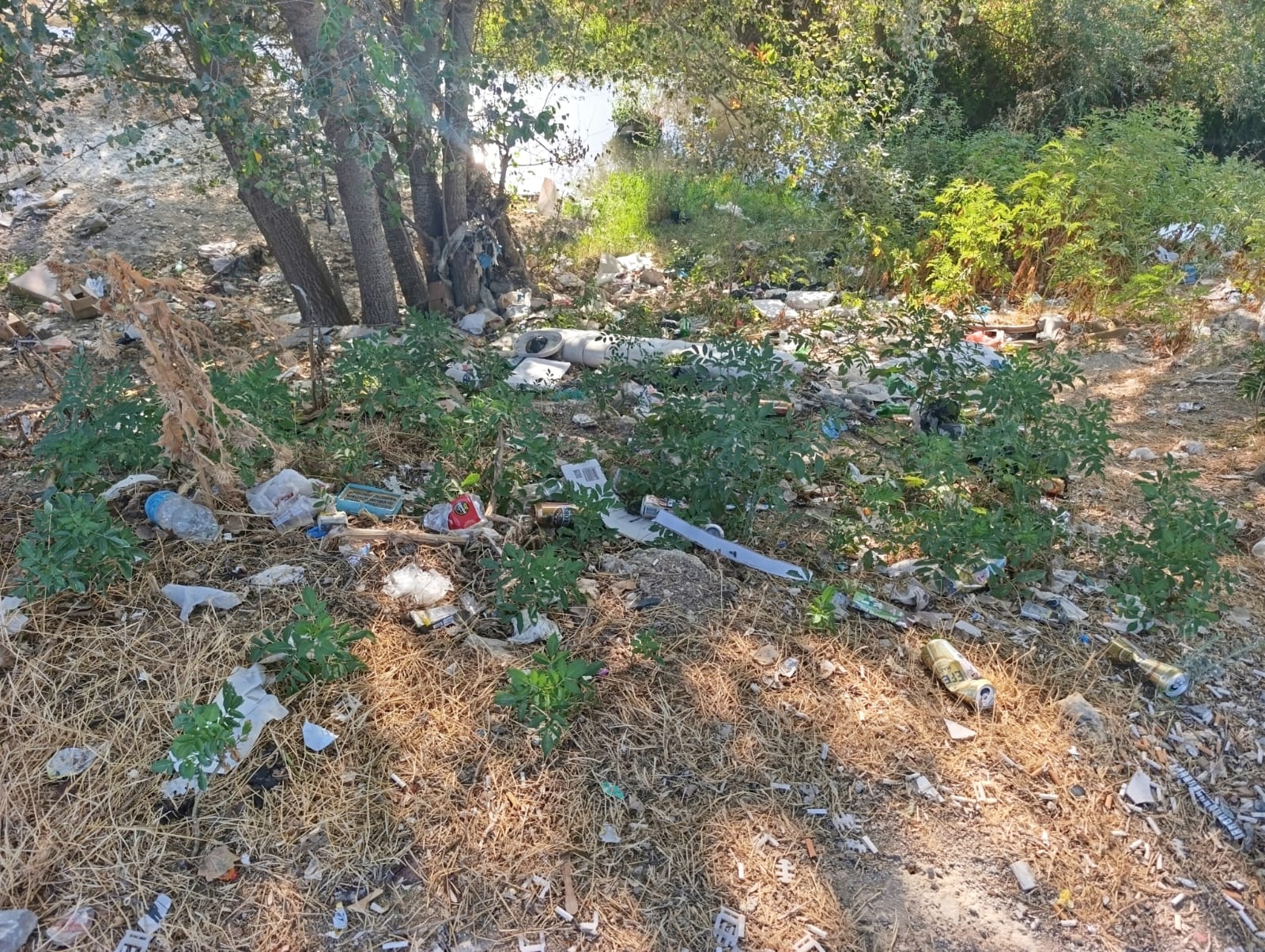 C853Fb93 B1A9 4A6B 9234 7A9261874Fc5