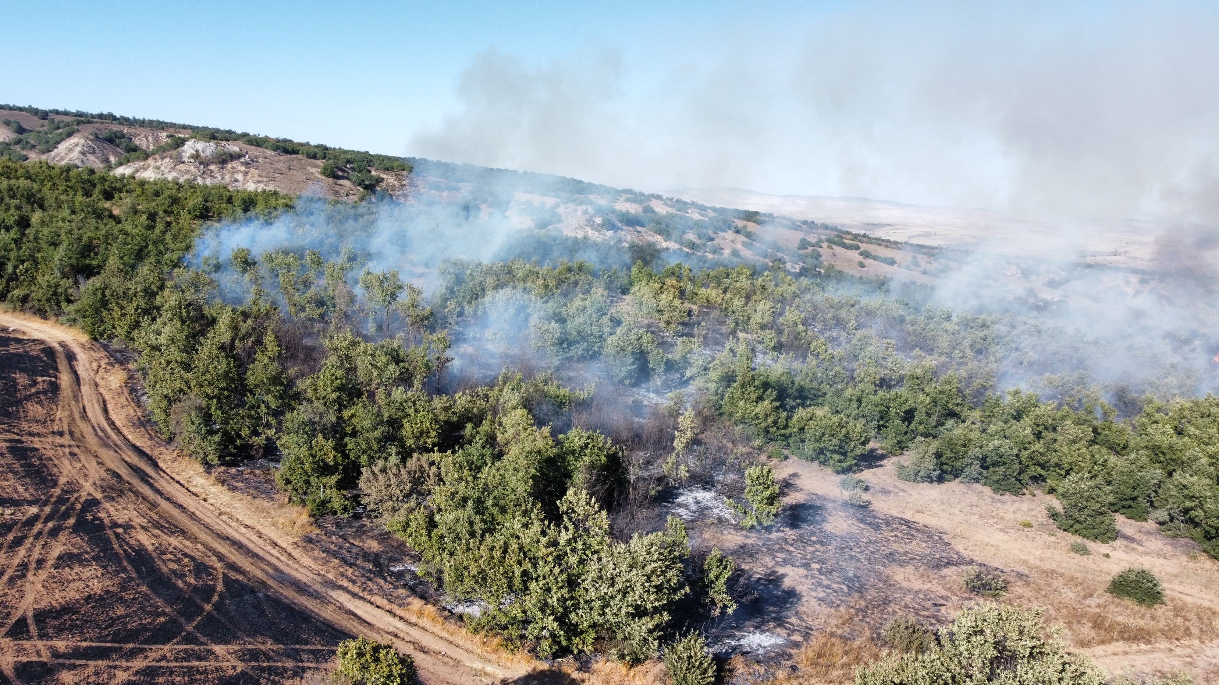 Çorum’un Alaca Ilçesinde Tarım Arazisinde (2)
