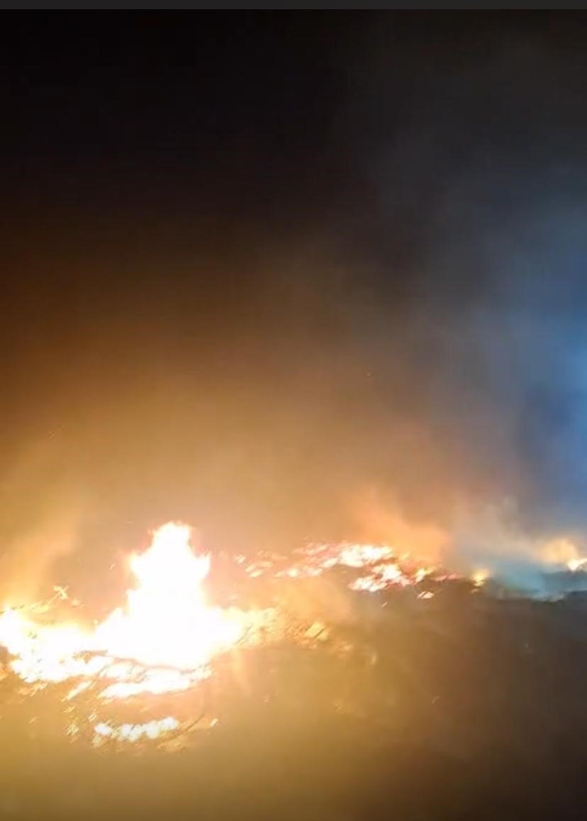 Cunda Adası’nda Makilik Alanda Yangın Paniği (2)