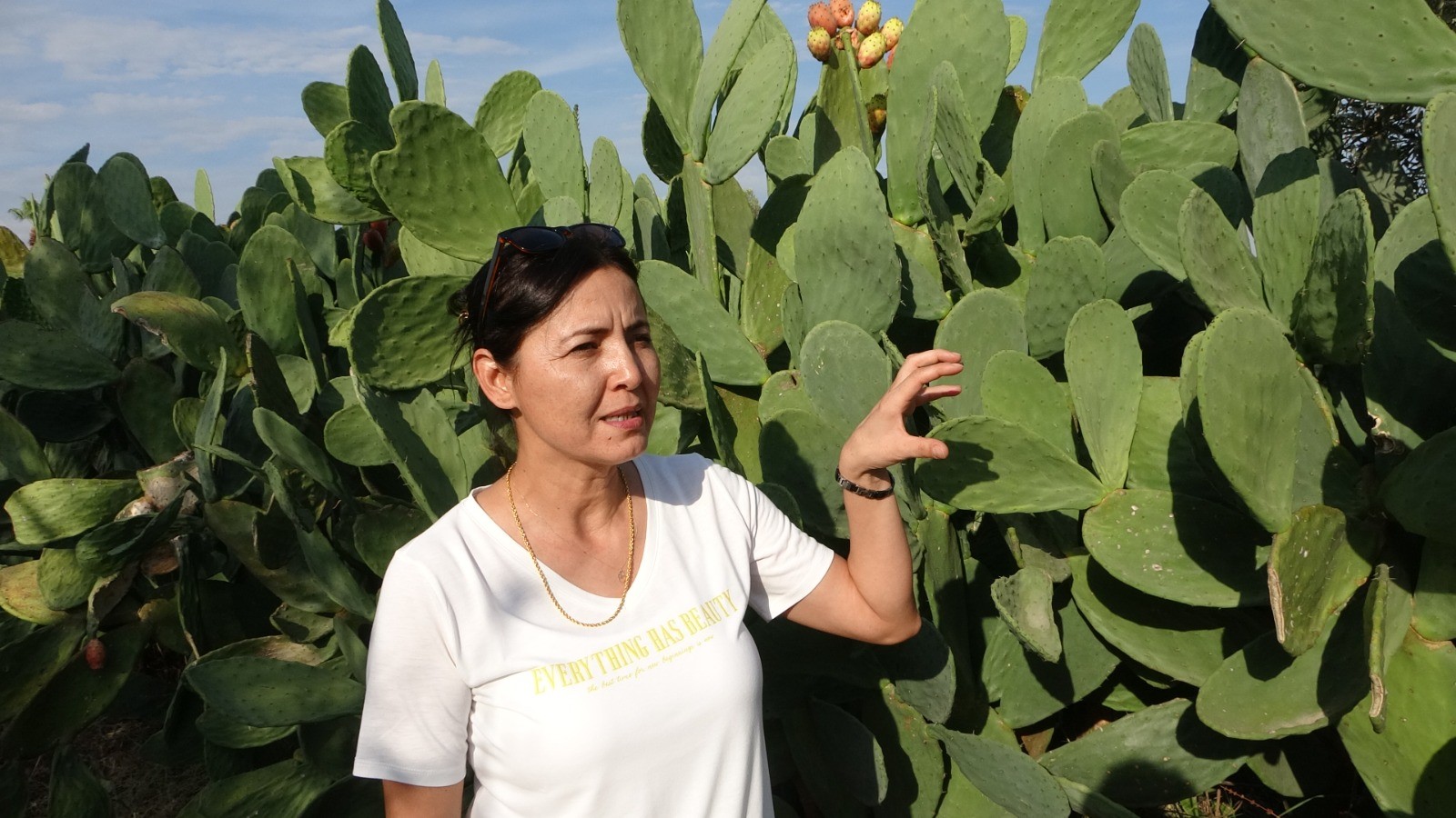 Dikenli Incir Bahçesi Gencgazete (2)