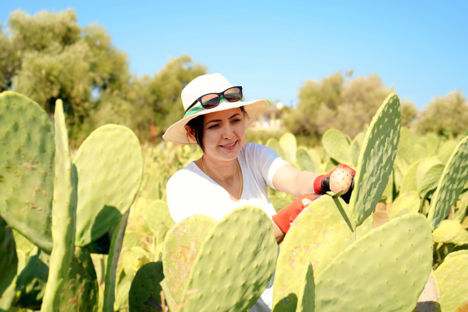 Dikenli Incir Bahçesi Gencgazete (4)