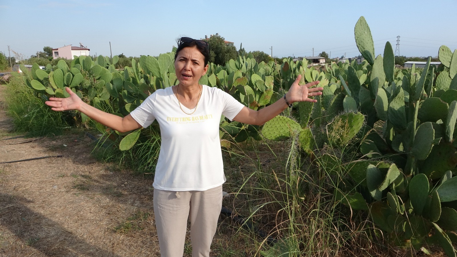 Dikenli Incir Bahçesi Gencgazete (6)