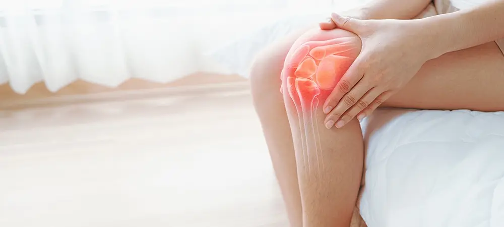 Dizde Odem 23 63526 Web Image B