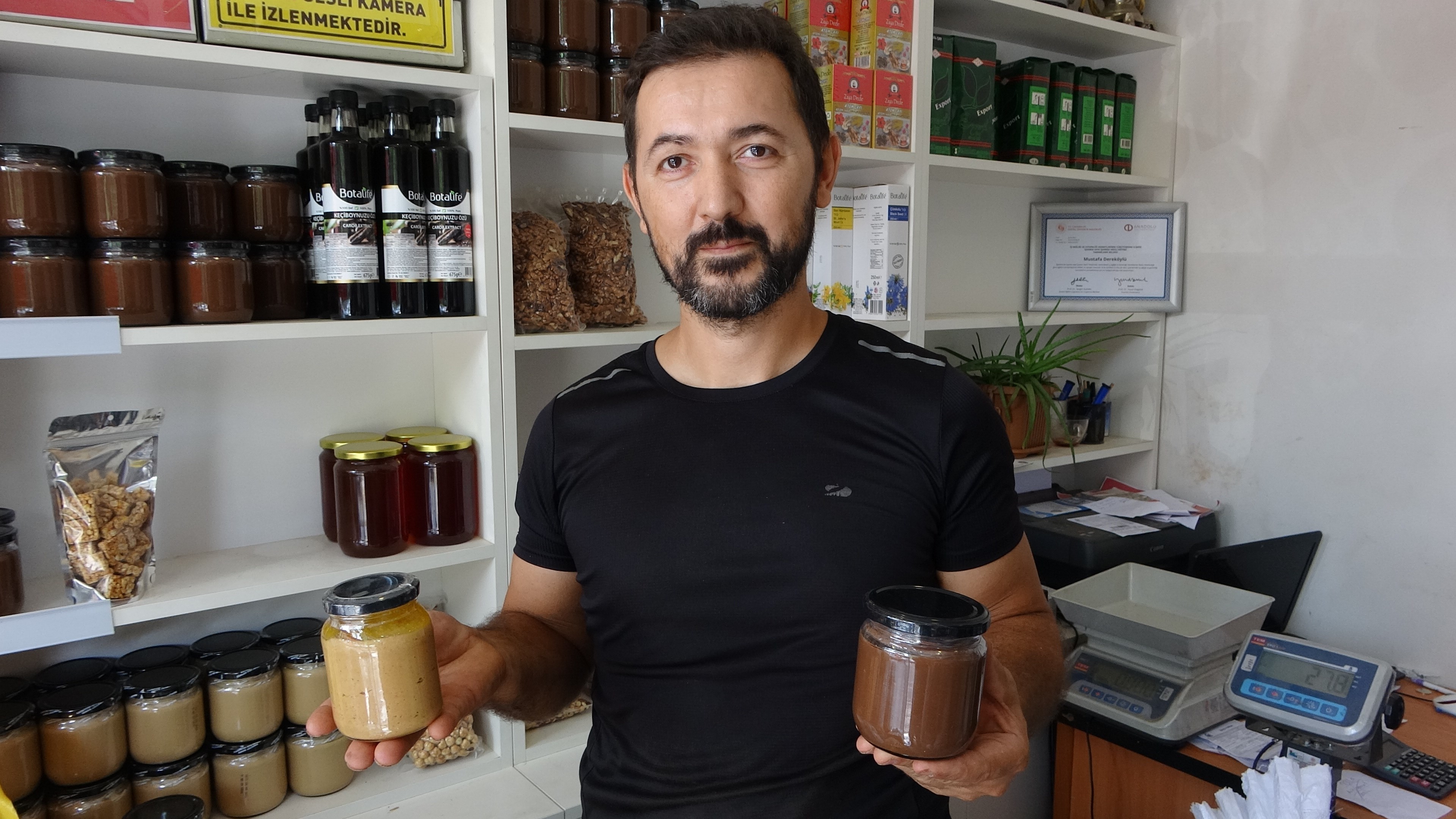 Fındık Hasadı Gencgazete (2)