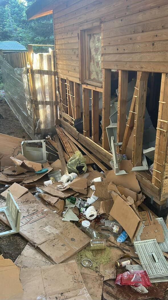 Gece Saatlerinde Yiyecek Arayışına Çıkan Ayılar, Vatandaşlara Ait Barakalara Girerek Ortalığı Savaş Alanına Çevirdi (2)