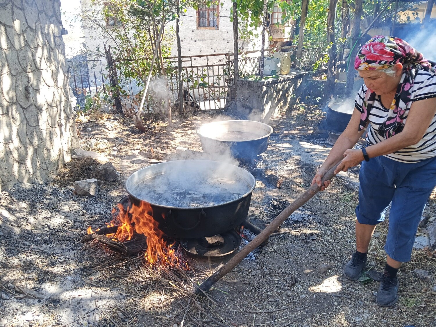 Geleneksel Pekmez Üretimi Gencgazete (10)-1