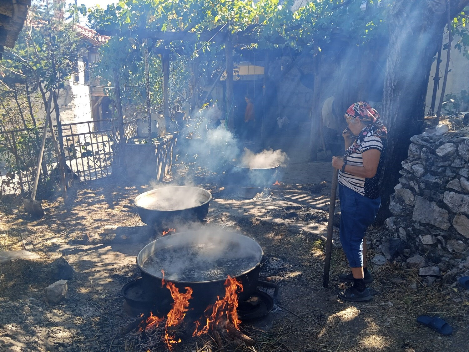 Geleneksel Pekmez Üretimi Gencgazete (11)-1