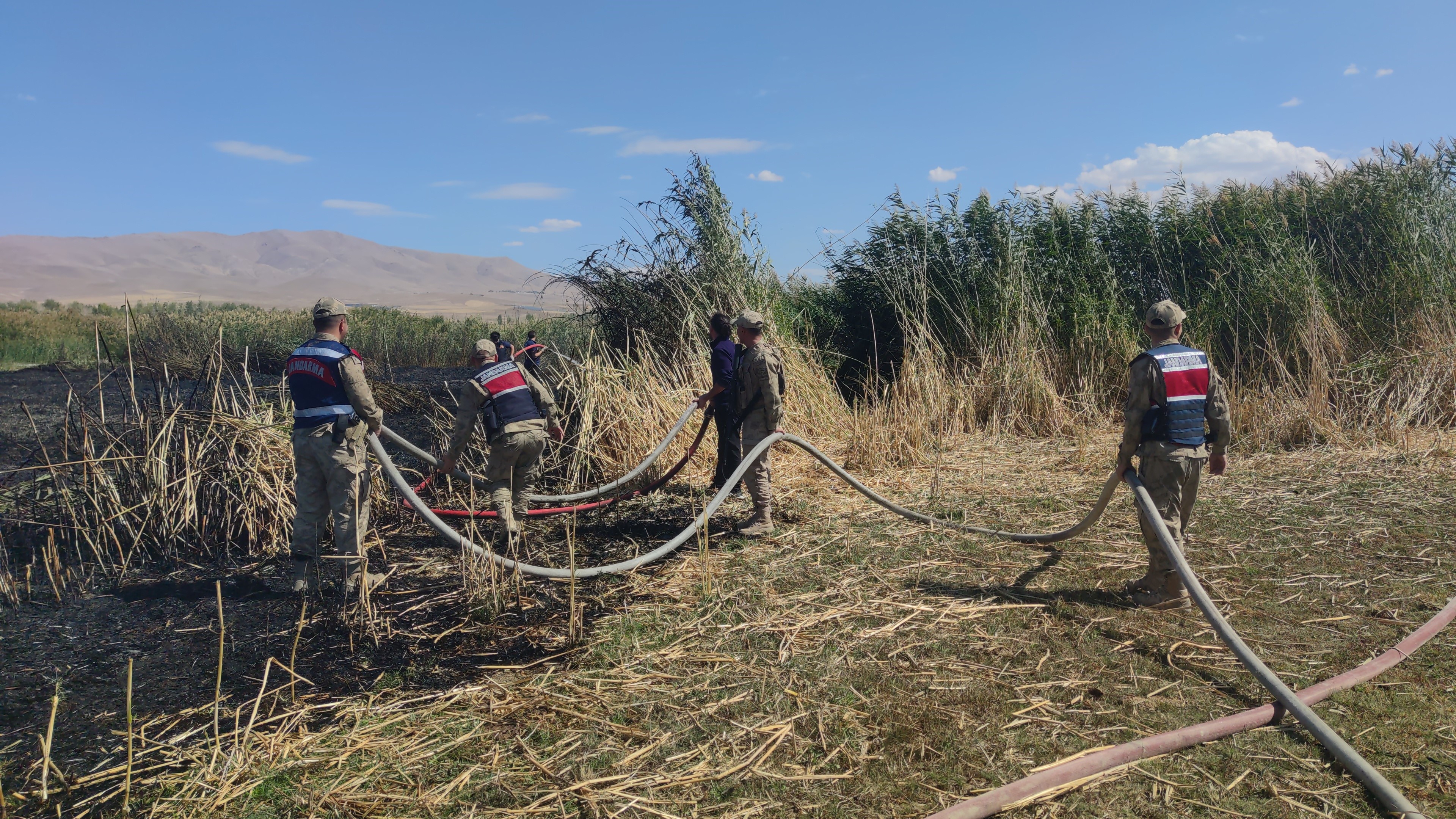 Göçmen Kuşların Yuvası Alevlere Teslim Oldu (1)