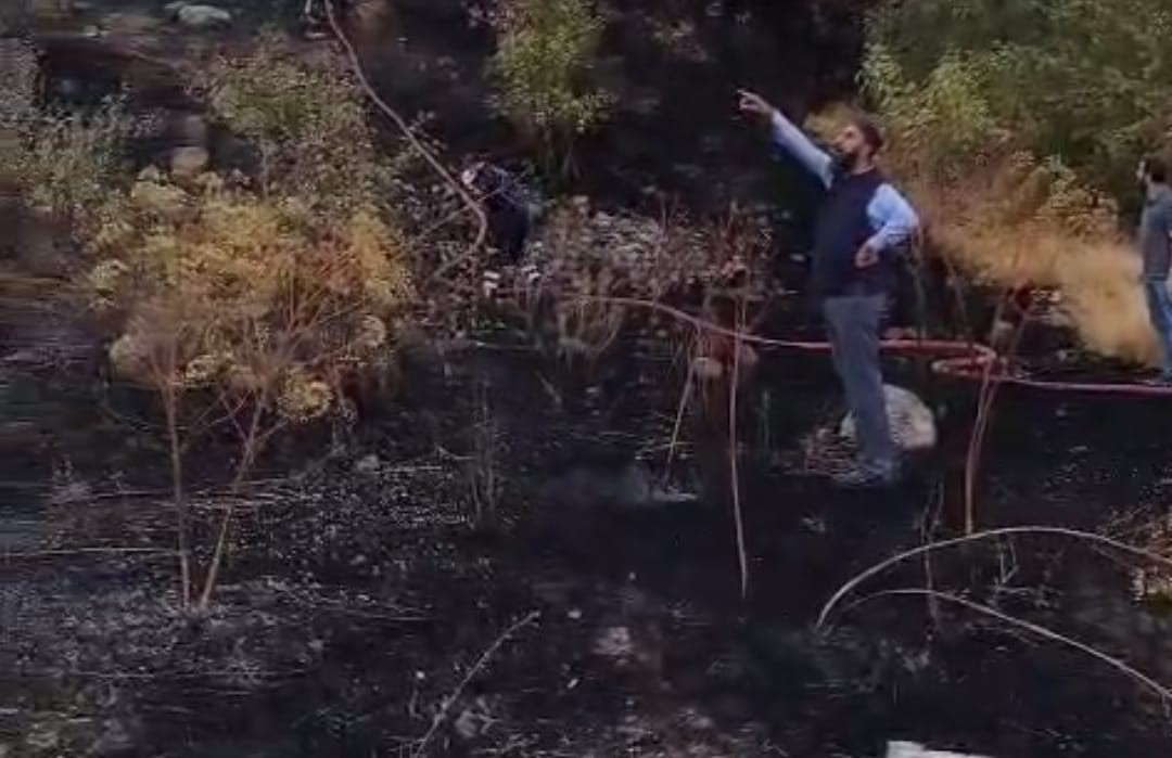 Hakkari’de Ormanlık Alanda Yangın (1)