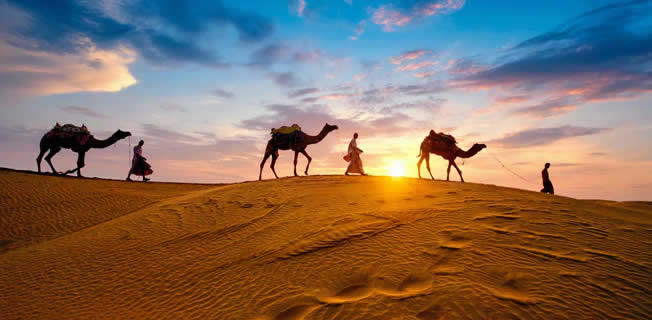 Hicret Camel 745Fcae2E