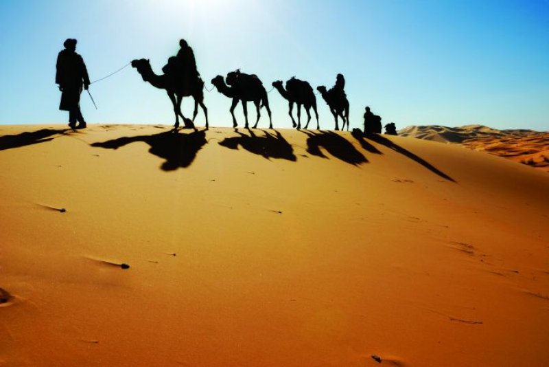 Hicret Kiyamete Kadar Bakidir 5 165 1 B