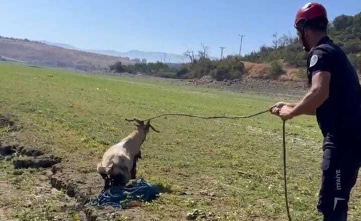 I M G 20250917 W A0068