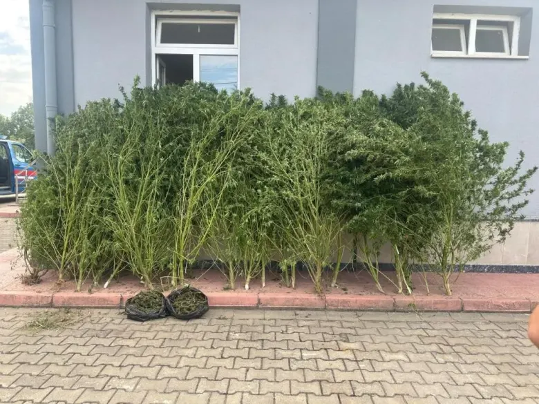 Inegol De Uyusturucu