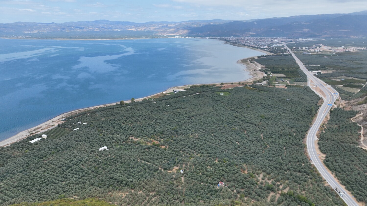 İznik Gölü Kuruyor Gencgazete (3)